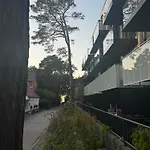 Morzlive