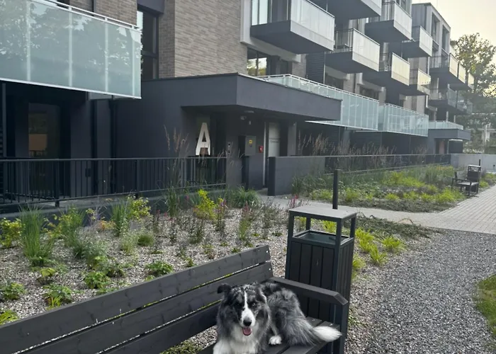 公寓 Morzlive 尤斯托尼莫斯基